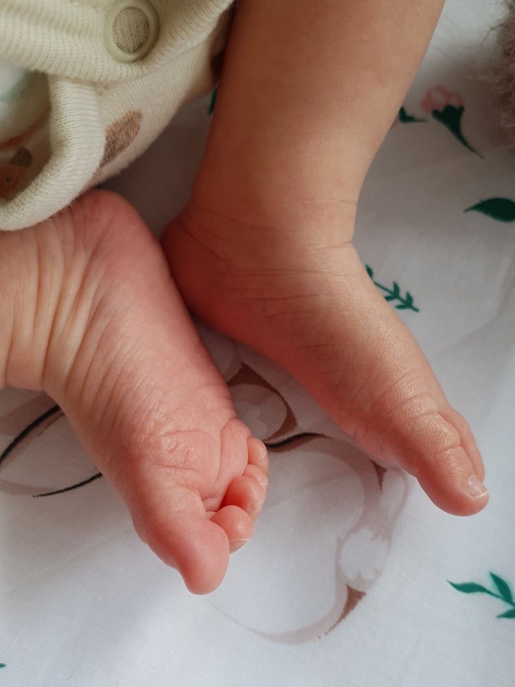 Photograph by Дарья Целуйко