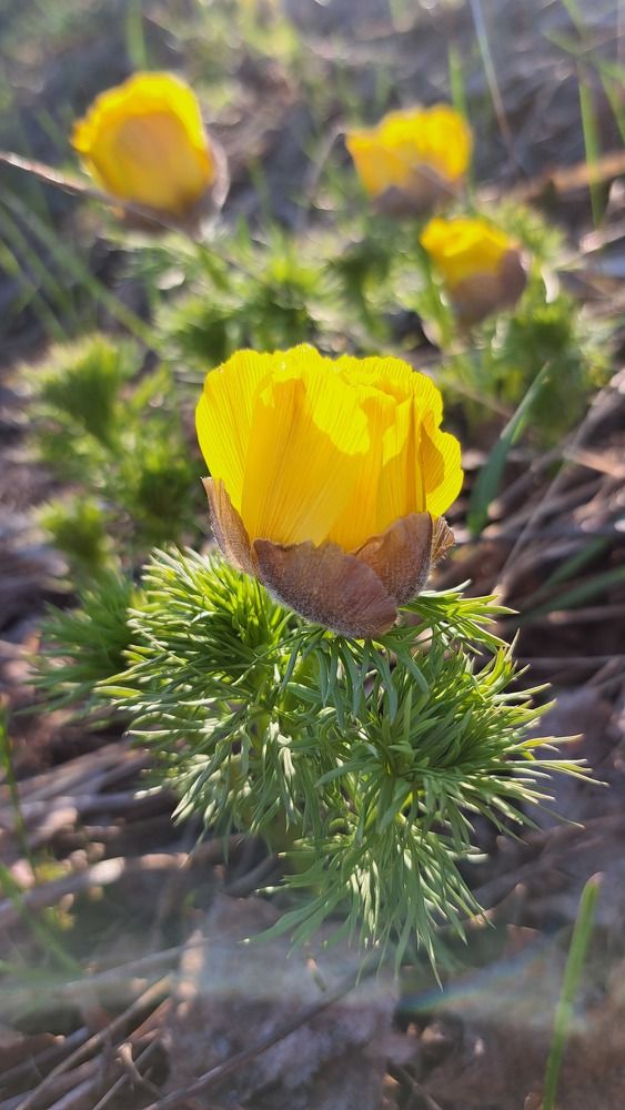 Photograph by Валентина Нохрина