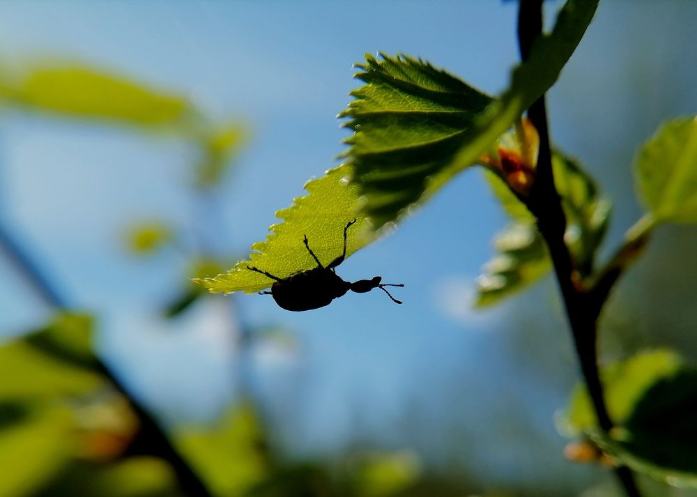 Photograph by Елена Казакова