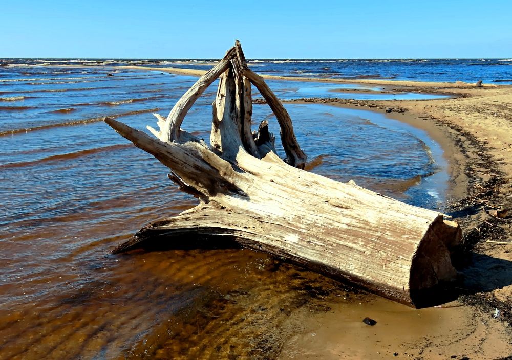 Photograph by Pjotr Alekseev