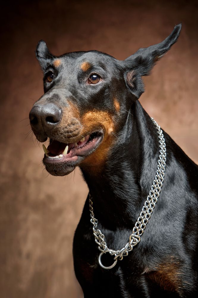 Фотография автора Александр Ульянов