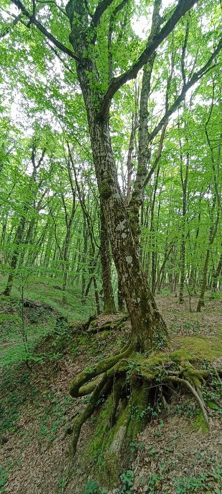 Photograph by Дмитрий Хайбулин