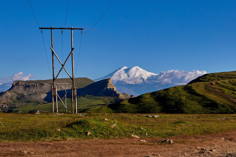 Фотография автора Totoro D