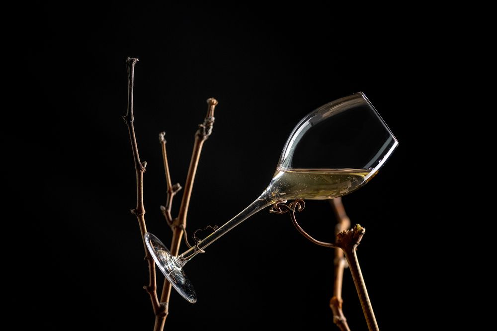 Photograph by Bence Szabó