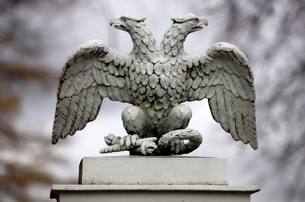 Photograph by елена