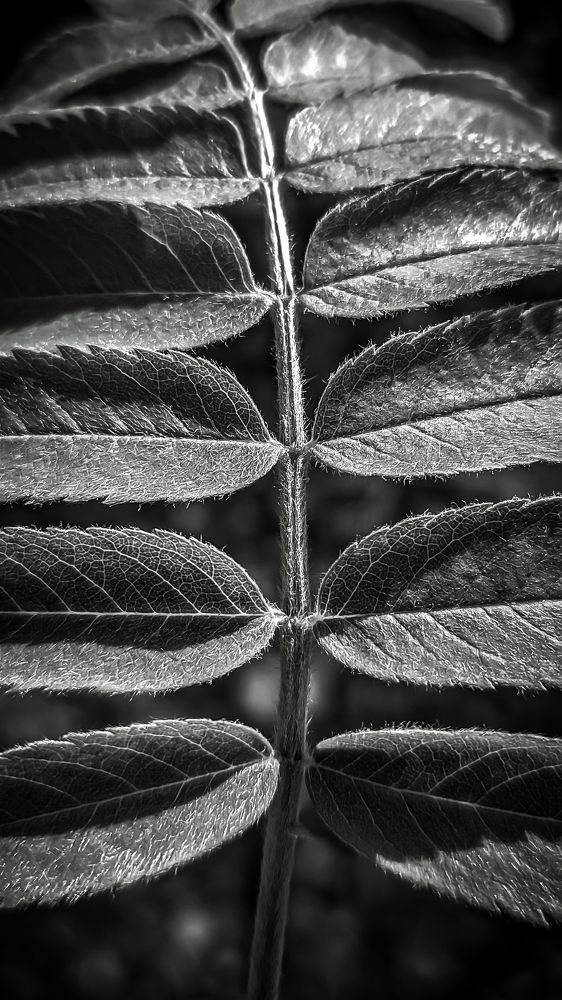 Фотография автора Александр Хухлов