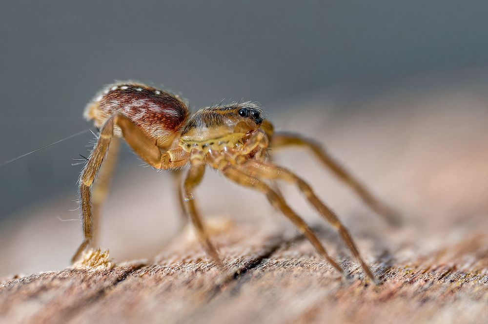 Photograph by Pavel Morozov