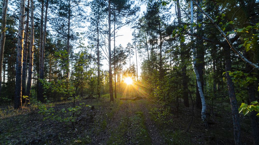 Photograph by Михаил Володин