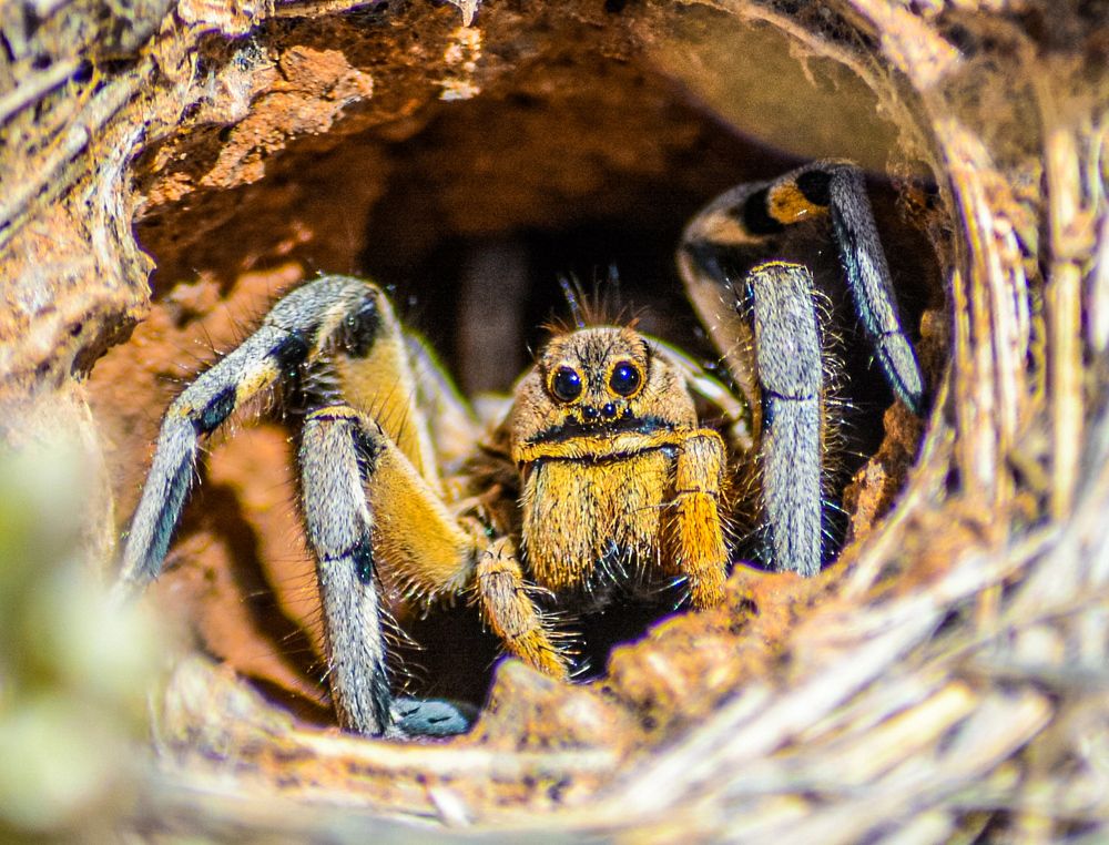 Photograph by Bachir Rabouh