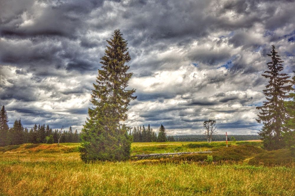 Photograph by Jaroslav Sameš