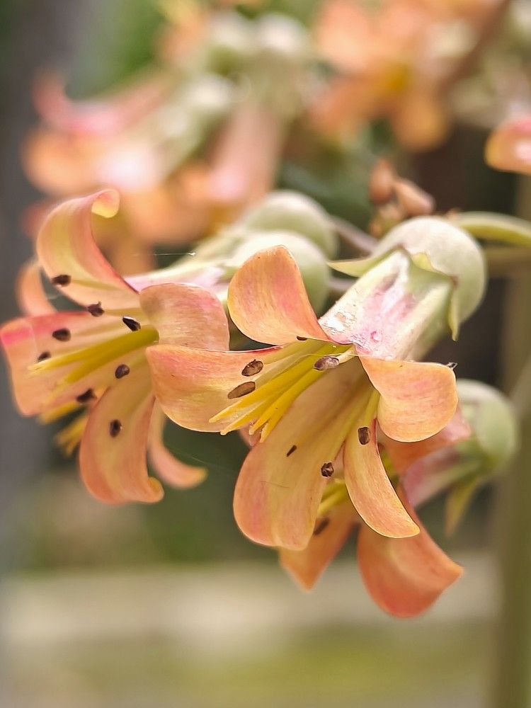 Photograph by Антонина Завальнюк