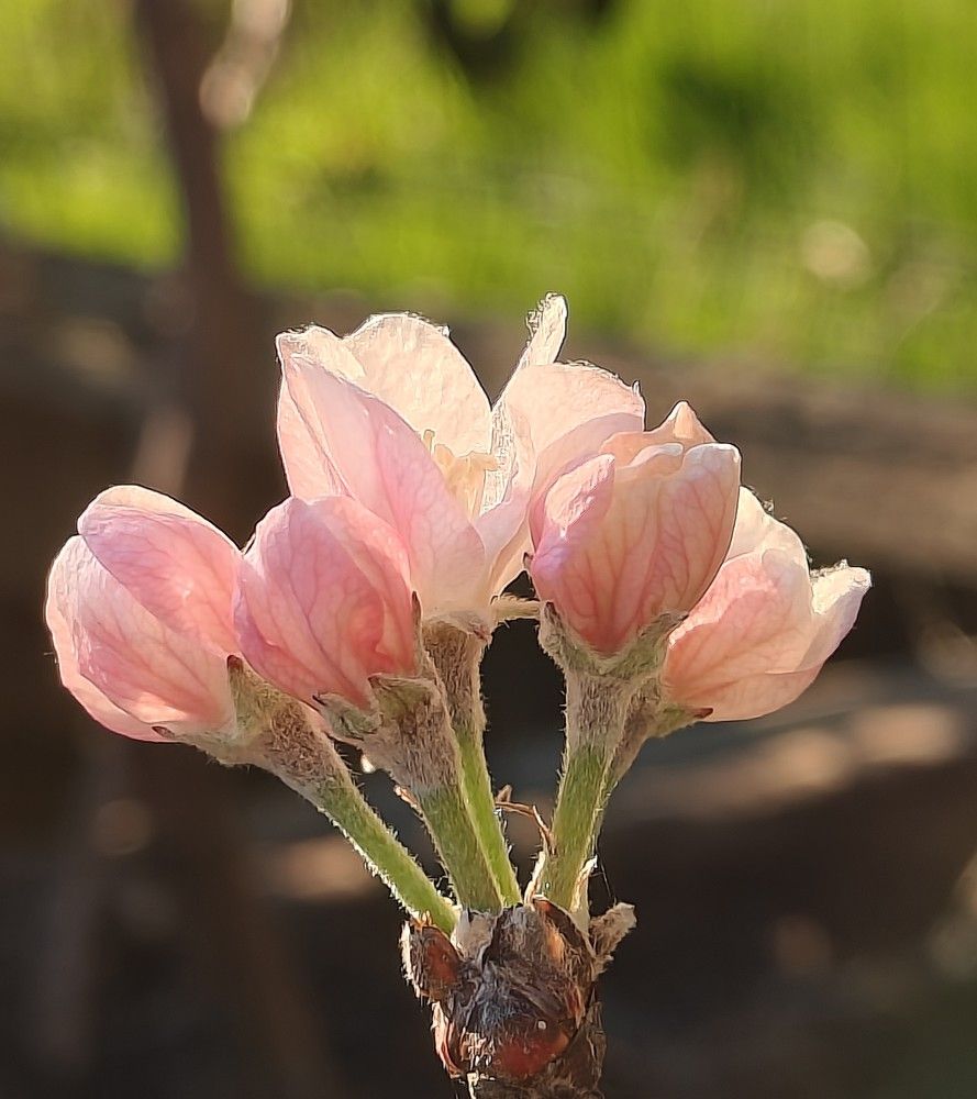 Photograph by Антонина Завальнюк