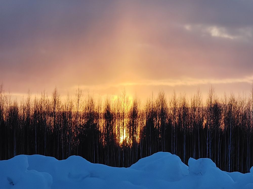 Photograph by Елена Касьянова