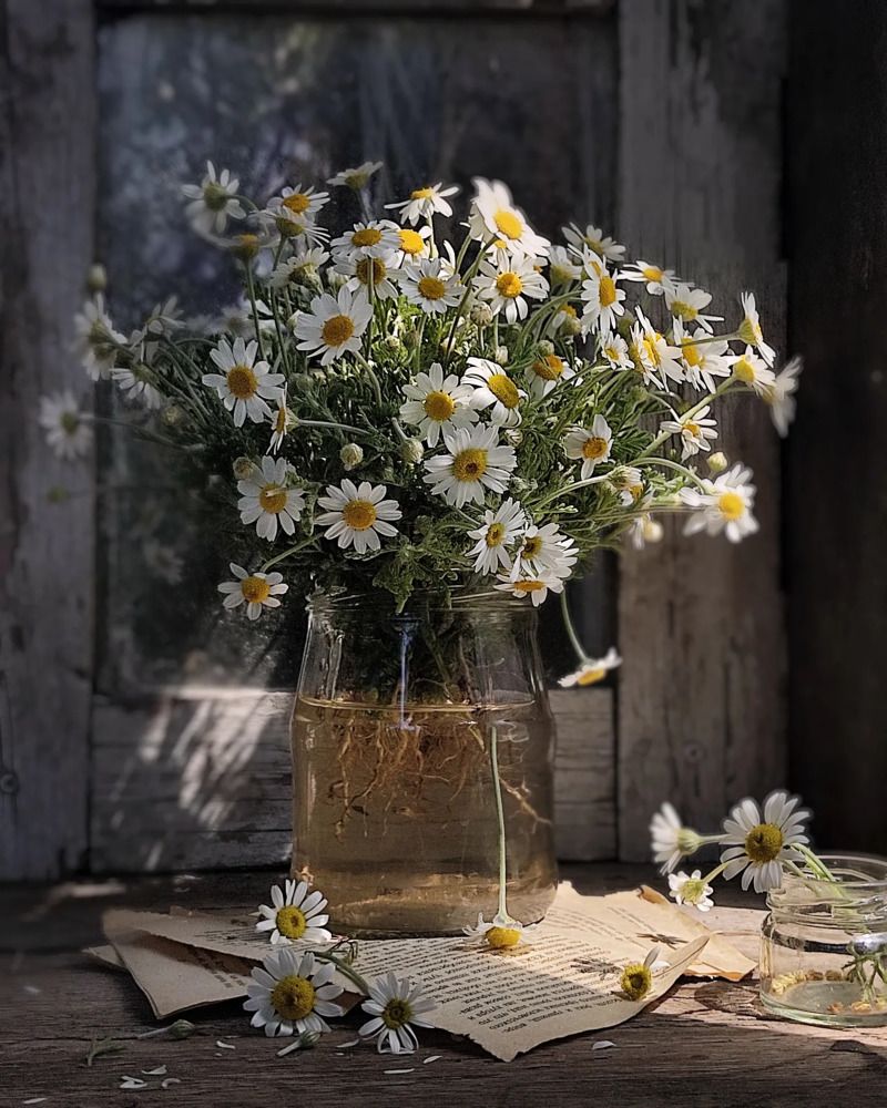 Фотография автора Инга Шевелёва