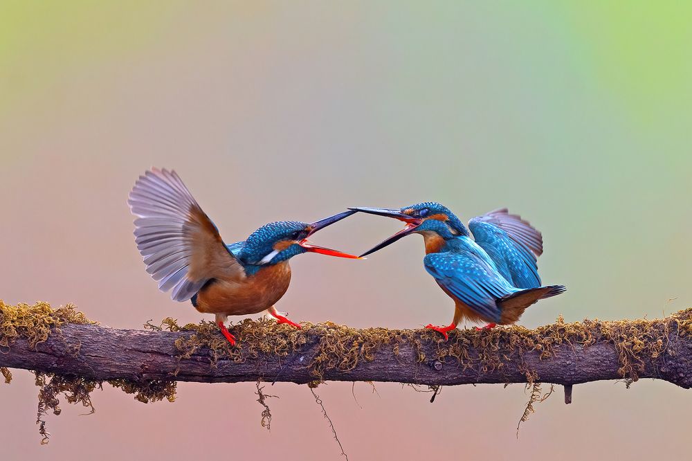 Фотография автора nitin jain