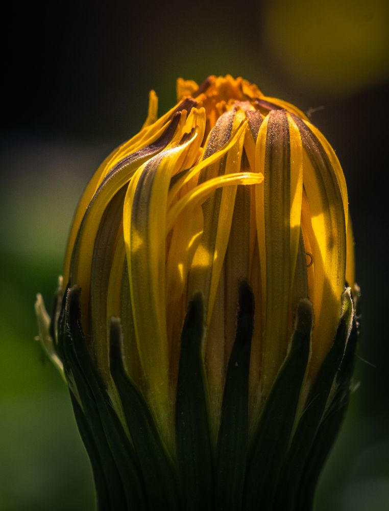 Photograph by Заур Бозиев