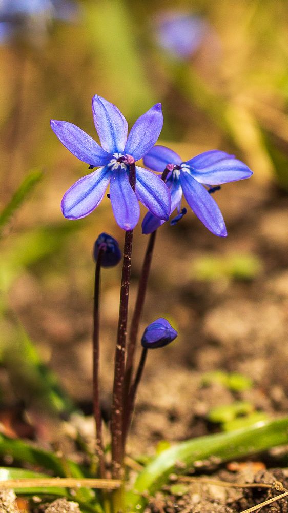 Photograph by Заур Бозиев