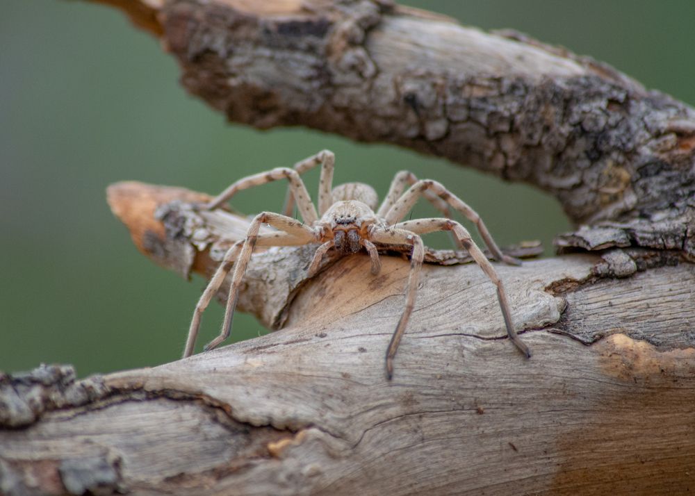 Photograph by Bachir Rabouh
