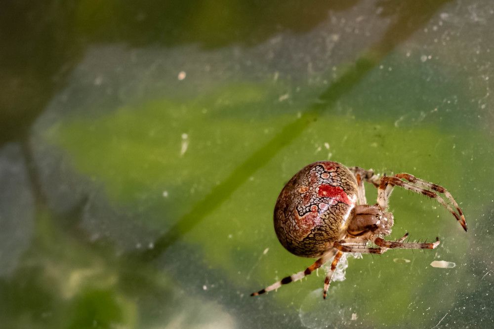 Photograph by Михаил Костыря