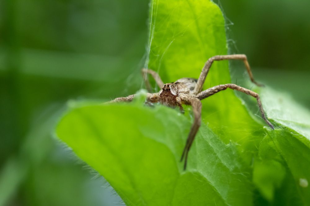 Photograph by Заур Бозиев