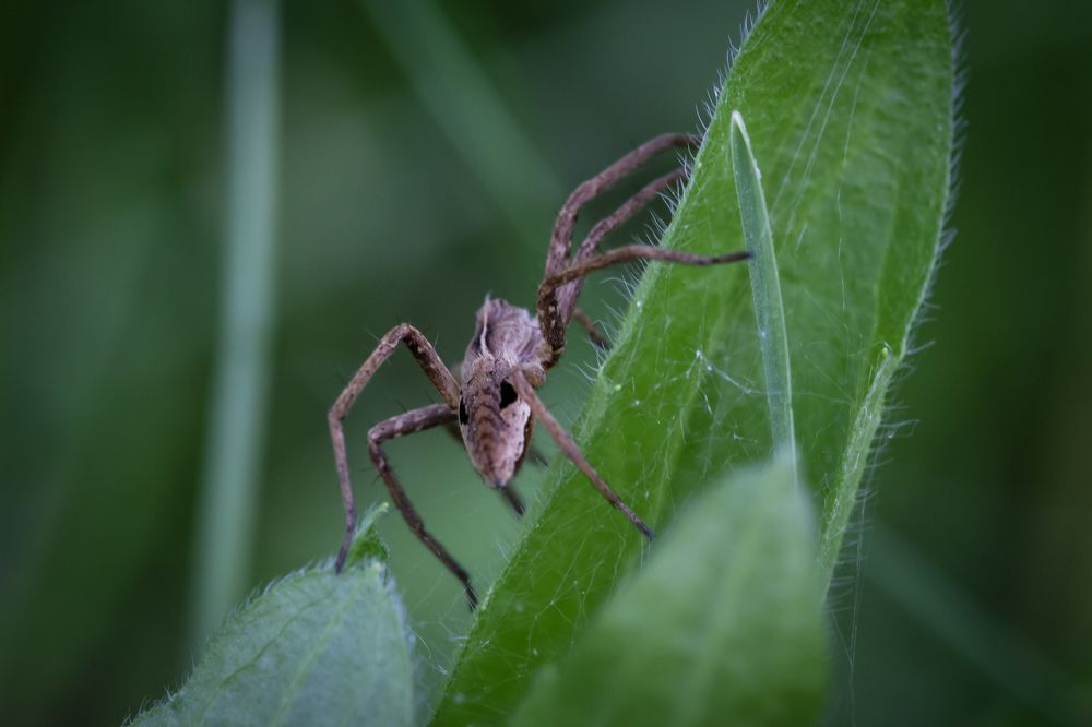 Photograph by Заур Бозиев