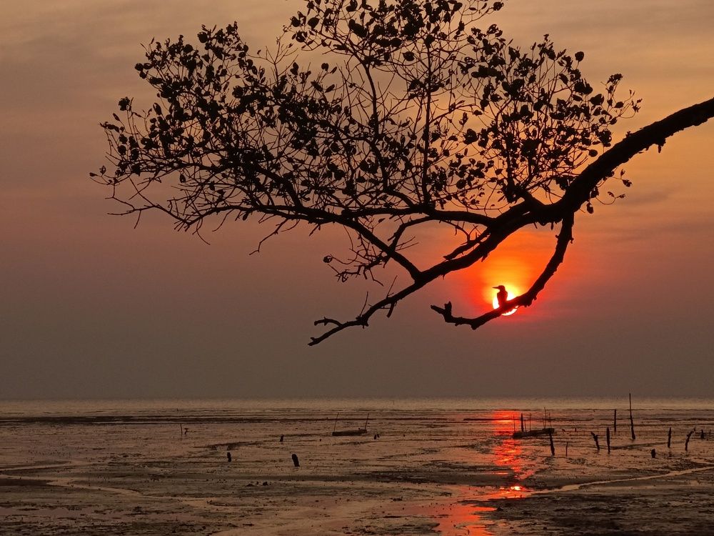 Photograph by Anida Aripin