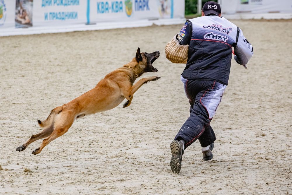 Photograph by Елена Вьюркова