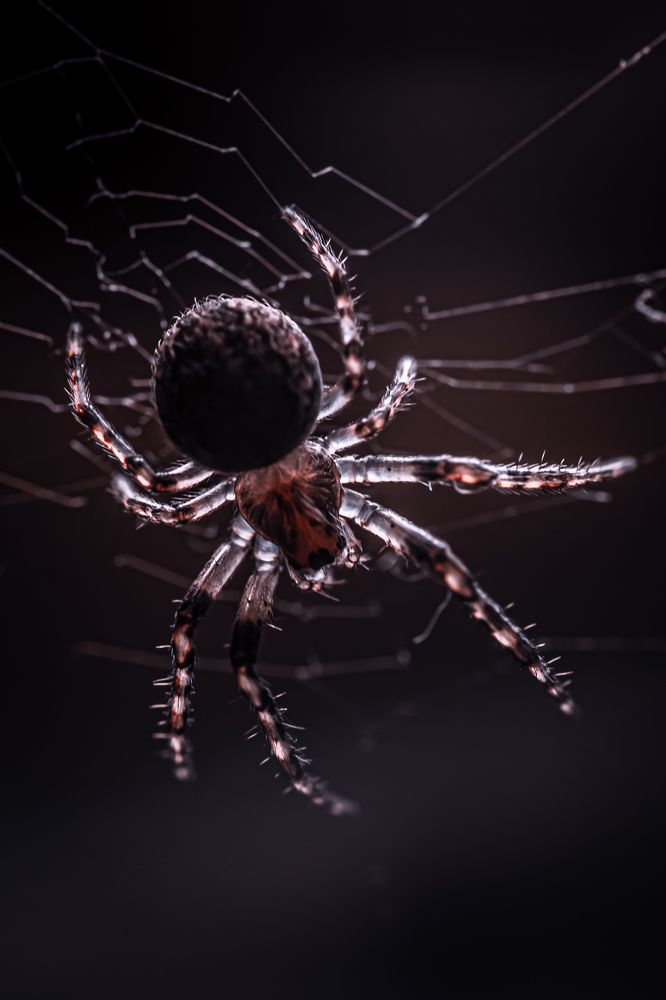 Photograph by дмитрий игнатов