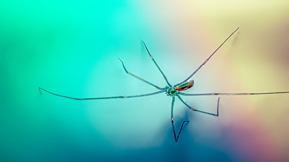 Photograph by дмитрий игнатов