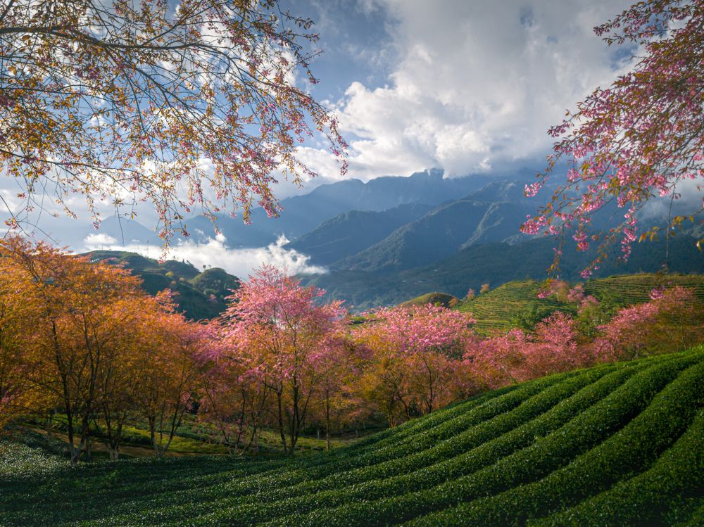 Photograph by Duy Chris