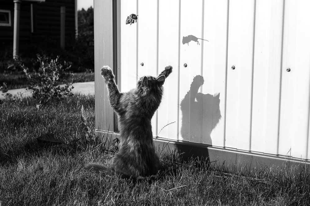 Photograph by Чистякова Валерия