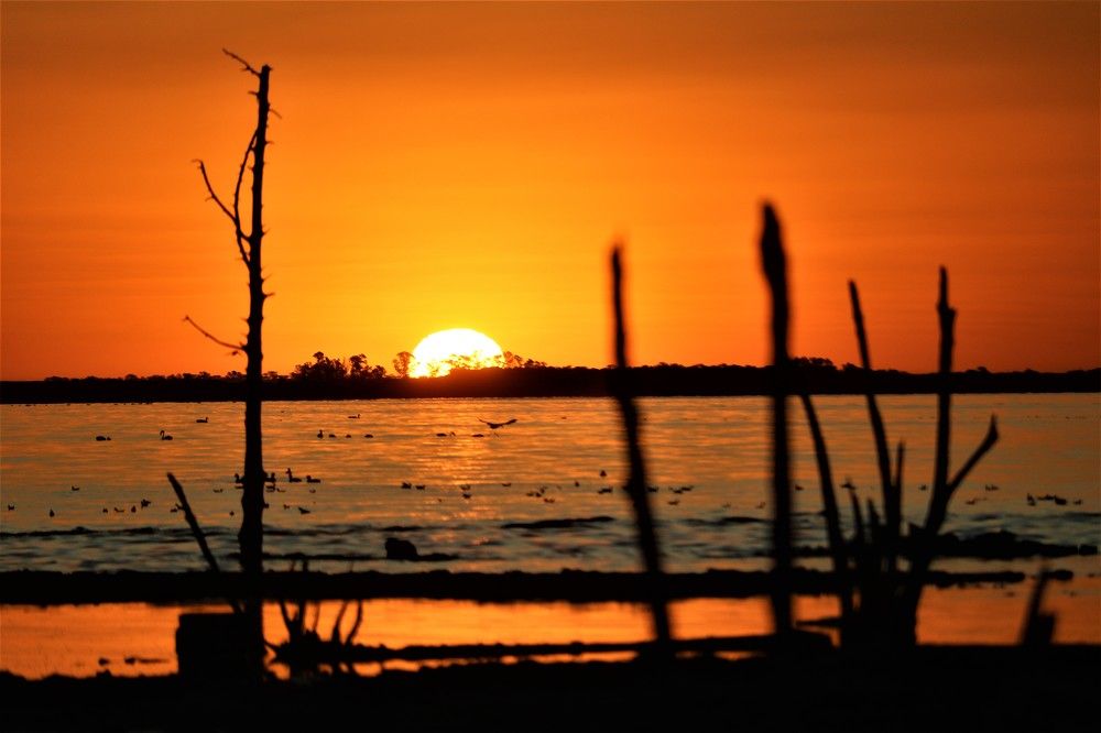 Photograph by Patricia Delionardis