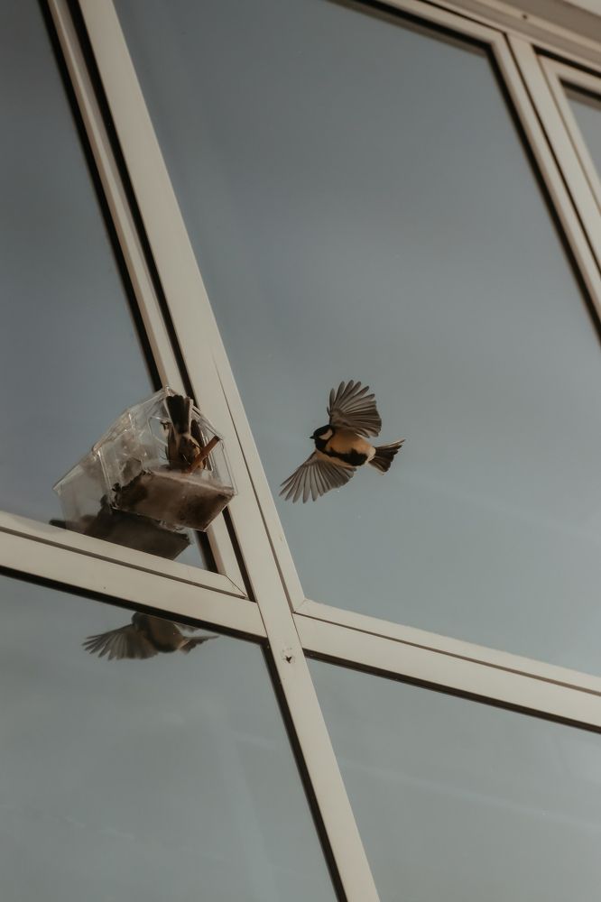 Photograph by Марина Моисеева