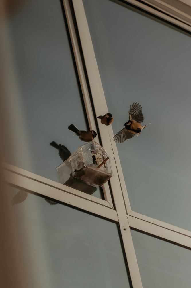 Photograph by Марина Моисеева