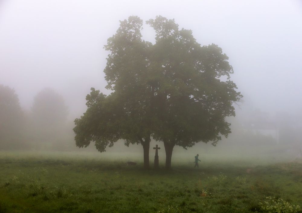 Фотография автора Mojtaba Chenari
