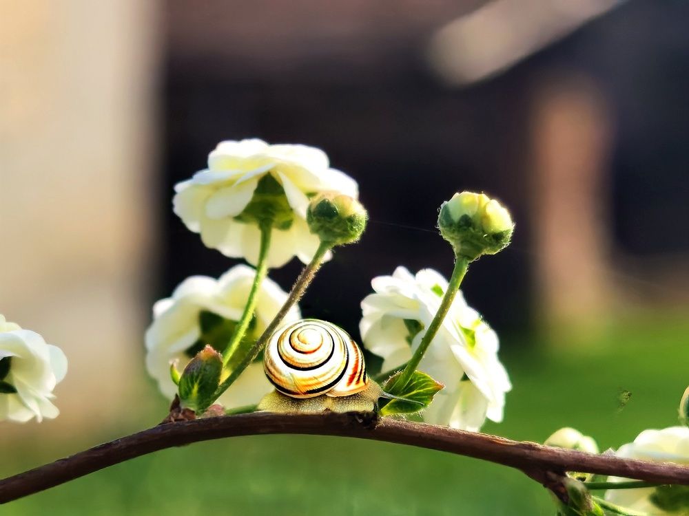 Photograph by Alen Brkić