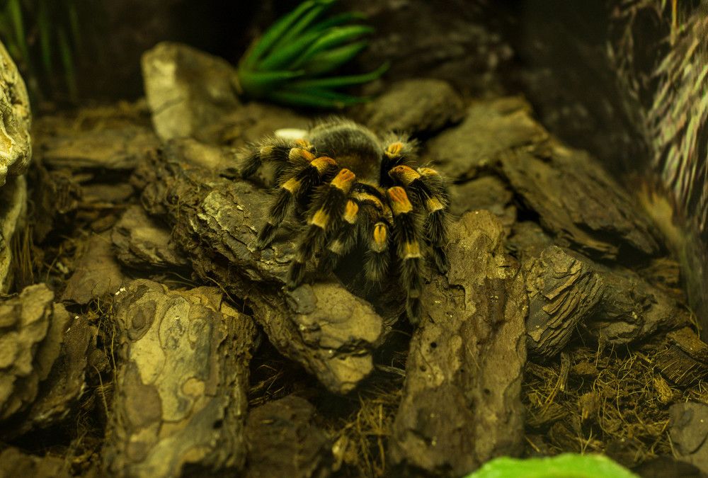 Photograph by Ирина