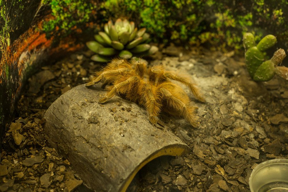 Photograph by Ирина