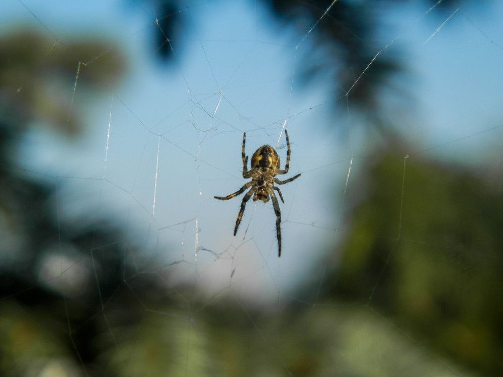 Photograph by Ирина