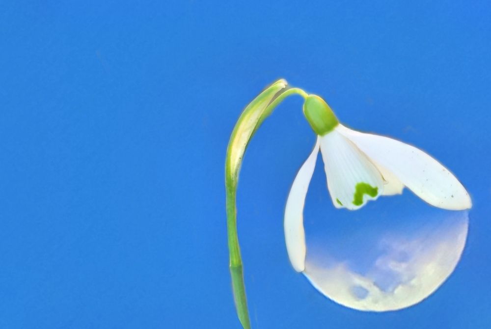 Photograph by Alen Brkić