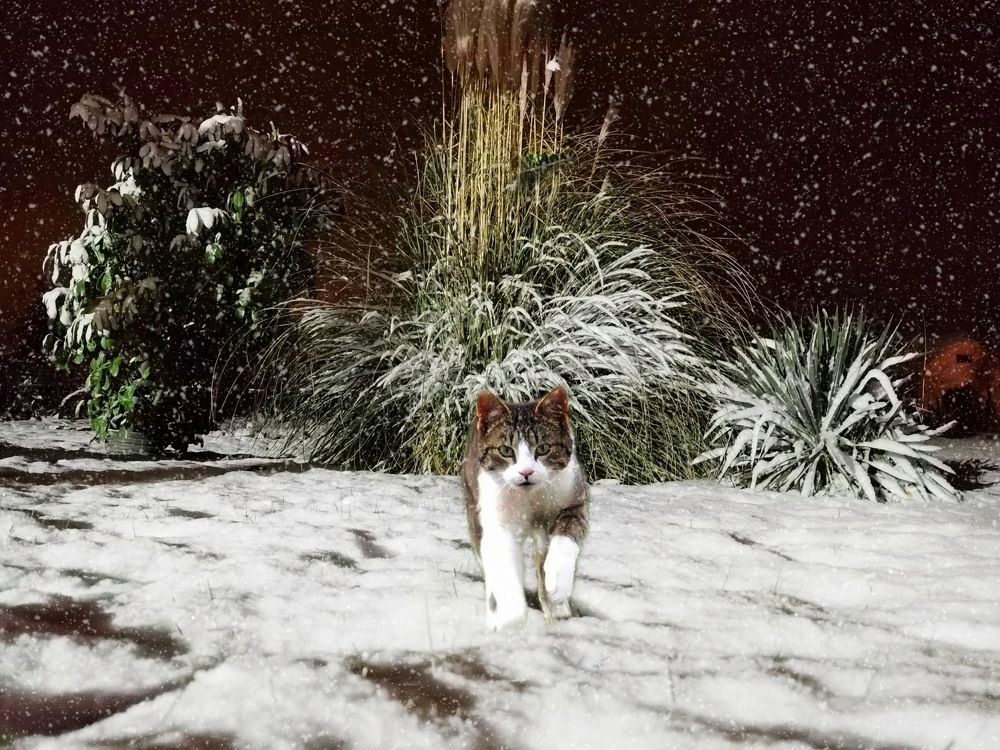 Photograph by Alen Brkić