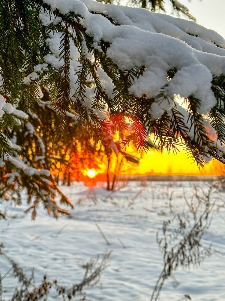 Photograph by Яна Лугинина