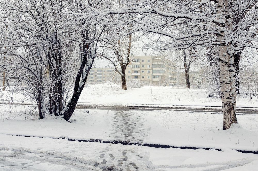 Photograph by Sergey Lebedev