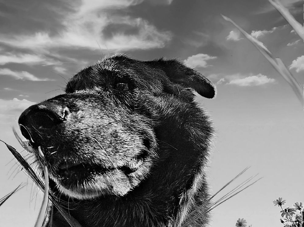 Фотография автора Екатерина