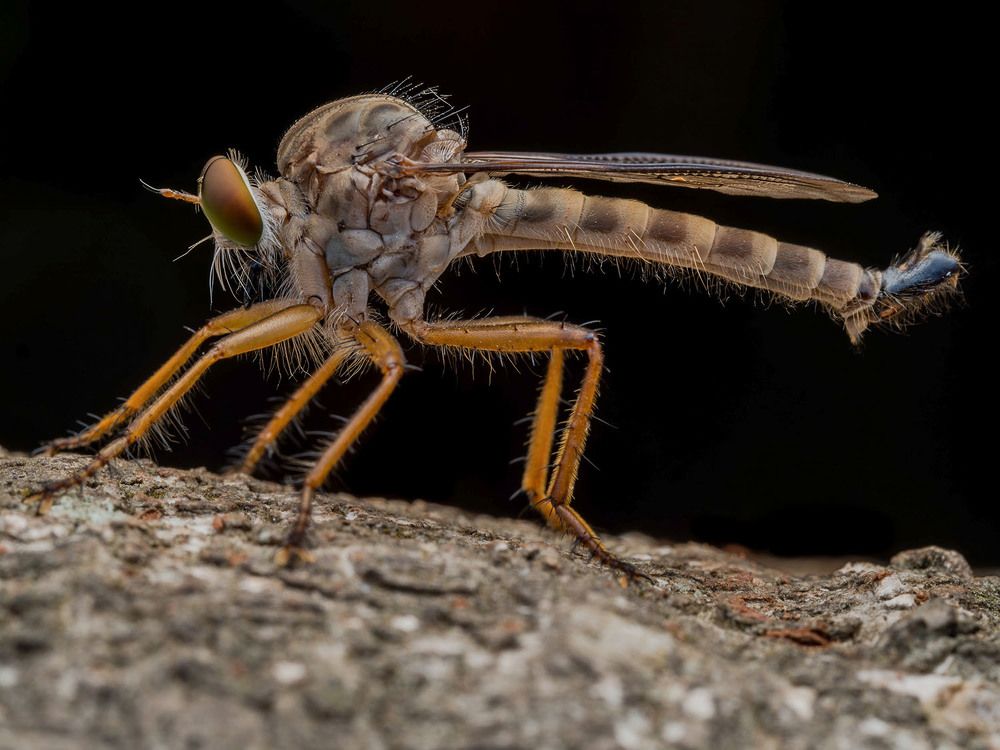 Photograph by Manjunath S