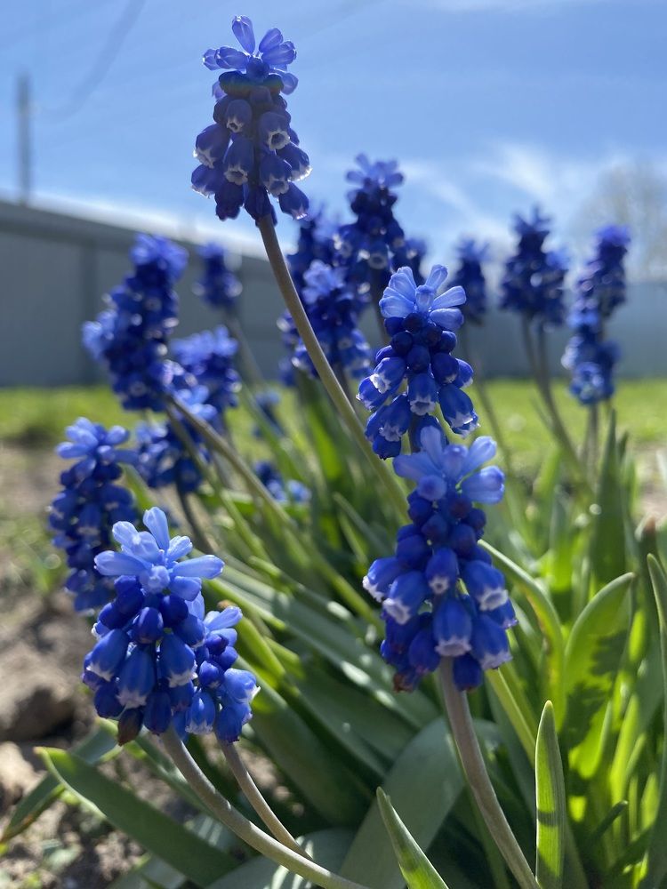 Photograph by Антонина Михалева