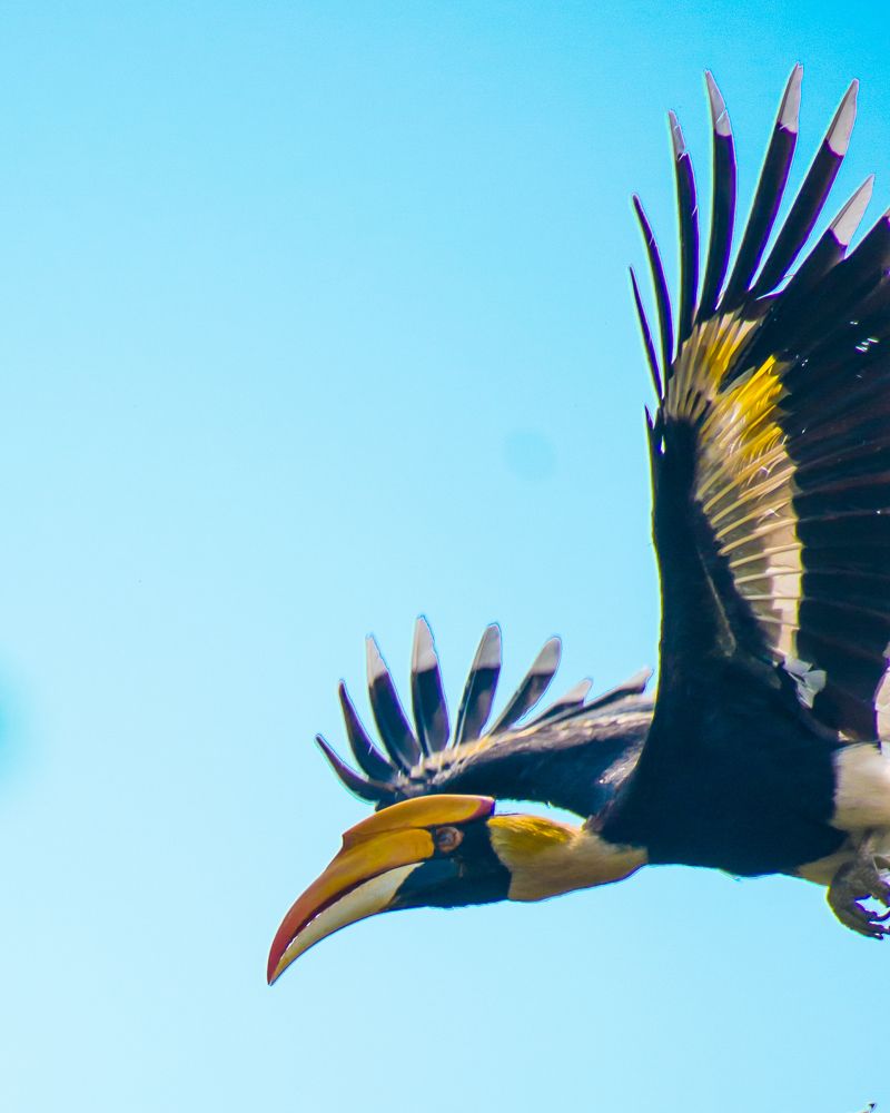 Photograph by Sudip Biswas