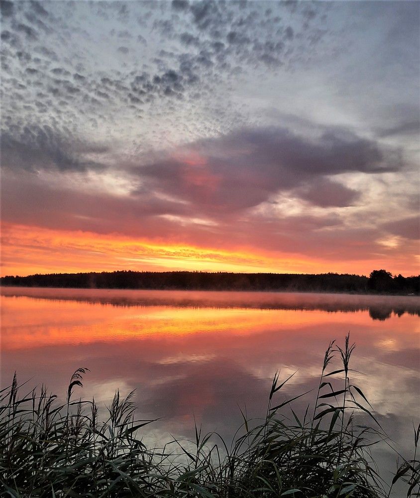 Photograph by Елена Пикатова