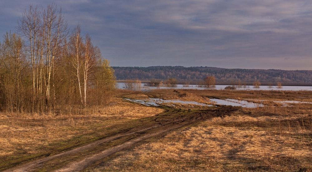 Фотография автора Панюшкин Владислав Владимирович