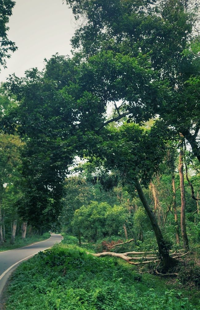 Photograph by Piyali Dutta